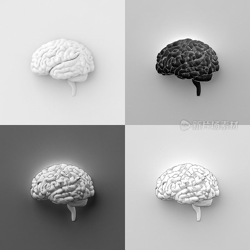 大脑-概念- 4个选项